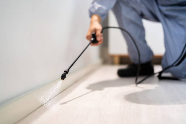 Licensed Cockroach Control service in Madison, NC - Nex Pest Control