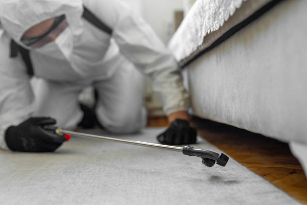 Professional Cockroach Control technician working in Madison, NC