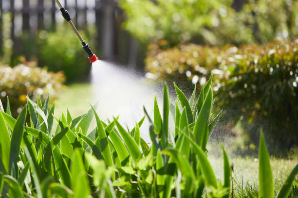 24/7 Emergency Cockroach Control experts in Madison, NC